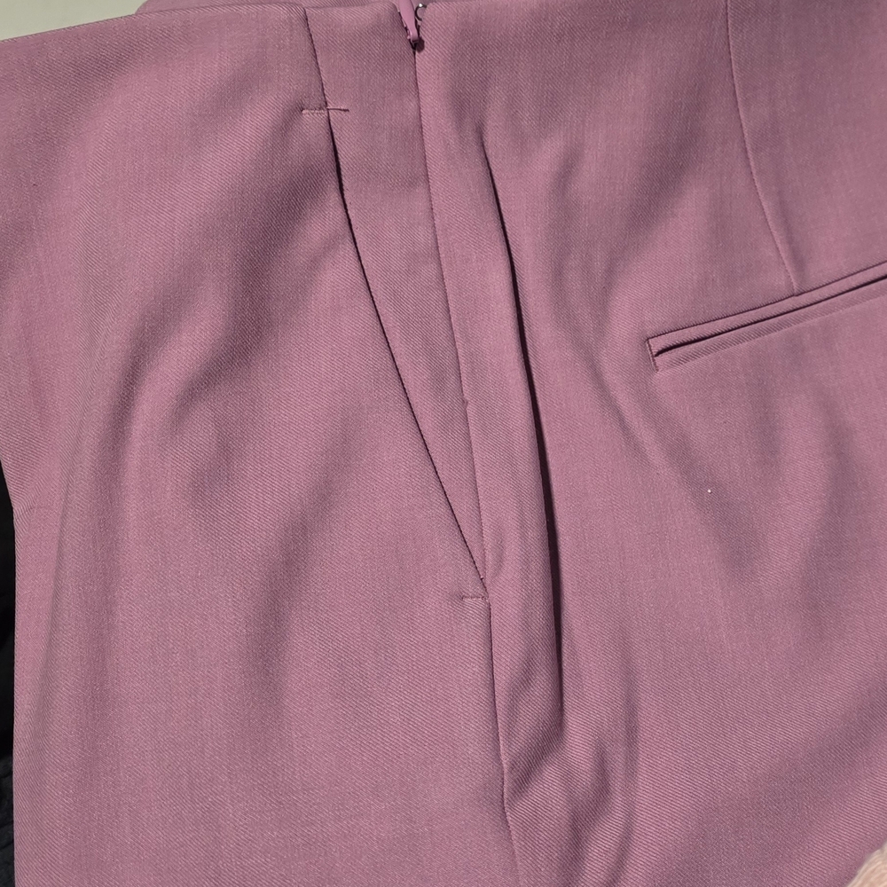 Ann Taylor Side Zip Ankle Pants